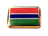 F138LP68 gambia flag lapel pin.jpg (12720 bytes)