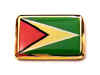 F150LP68 guyana flag lapel pin.jpg (13979 bytes)