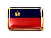 F173LP68 liechtenstein flag lapel pin.jpg (12249 bytes)