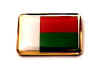 F178LP68 madagascar flag lapel pin.jpg (9916 bytes)