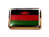 F181LP68 malawi flag lapel pin.jpg (12031 bytes)