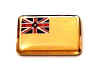 F202LP68 niue flag lapel pin.jpg (11941 bytes)