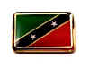 F227LP68 st kitts nevis flag lapel pin.jpg (13929 bytes)