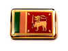 F249LP68 sri lanka flag lapel pin.jpg (14793 bytes)