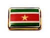 F251LP68 suriname flag lapel pin.jpg (12899 bytes)