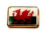 F66LP68 wales flag lapel pin.jpg (13420 bytes)