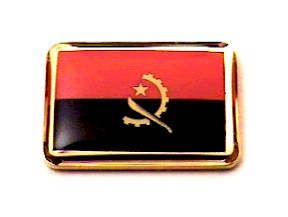 Country Flag lapel pin